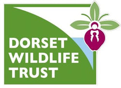 Jurassic Watersports | Dorset Wildlife Trust | DWT | Dorset Wildlife Trust Partner